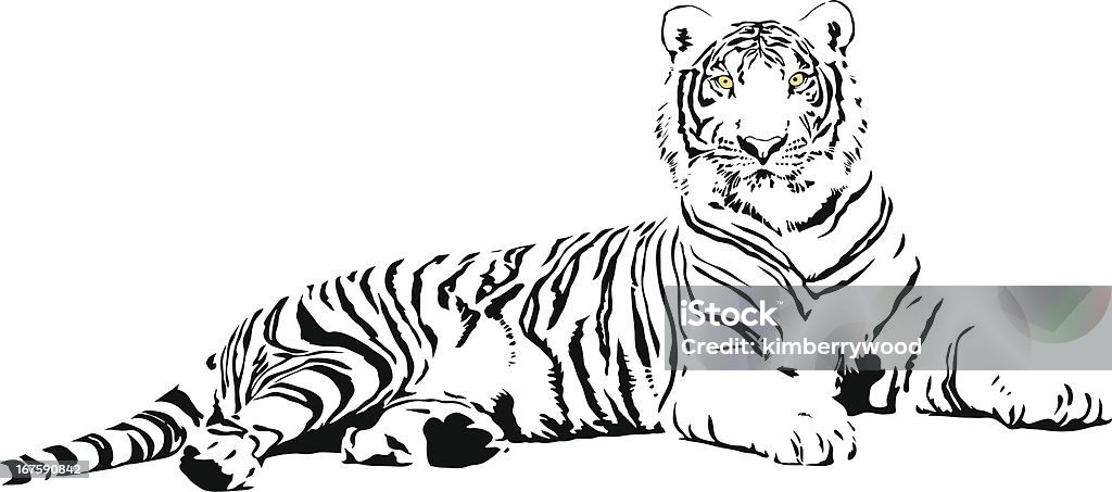 Белый тигр - Векторная графика Без людей роялти-фри