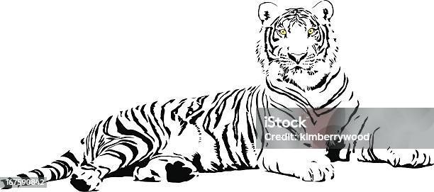 Белый Тигр — стоковая векторная графика и другие изображения на тему Без людей - Без людей, Белый, Большая кошка