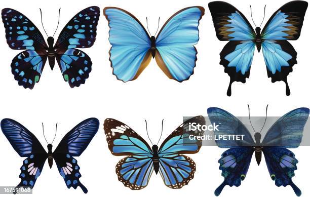 Blue Butterflysvector Illustration Stock Illustration - Download Image Now - Butterfly - Insect, Vector, Animal Wing