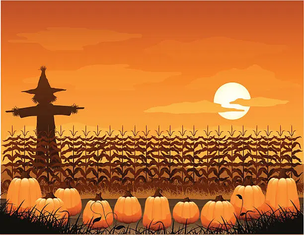 Vector illustration of Spooky pumpkin patch
