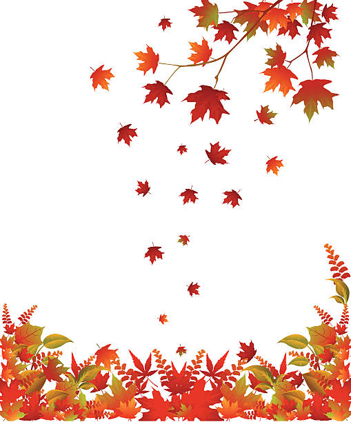 Graphics For Fall Back 26,300+ Fall Background Clipart Stock Illustrations, Royalty-Free ...