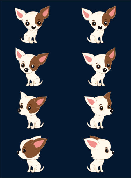 illustrazioni stock, clip art, cartoni animati e icone di tendenza di otto posizioni di chihuahua - dog chihuahua pampered pets pets