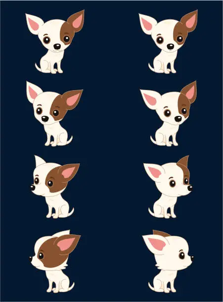 Vector illustration of Eight poses of chihuahua