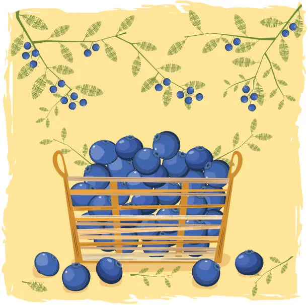 Vector illustration of Blueberries In Small Straw Basket