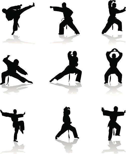 illustrazioni stock, clip art, cartoni animati e icone di tendenza di silhouette di karate - kung fu