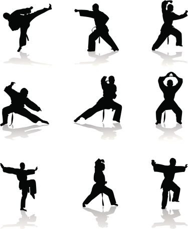 Karate Silhouette Illustration