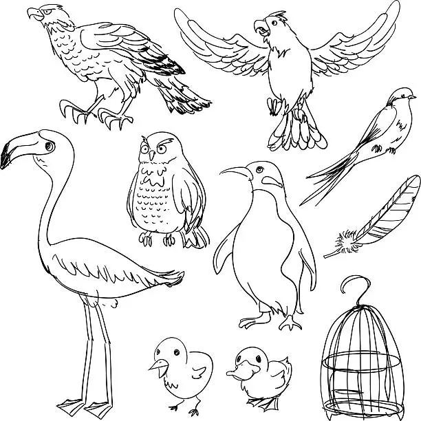 Vector illustration of Bird collection in black and white