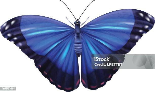 Blue Morphovektorillustration Stock Vektor Art und mehr Bilder von Blauer Morpho - Blauer Morpho, Form ändern, Freisteller – Neutraler Hintergrund