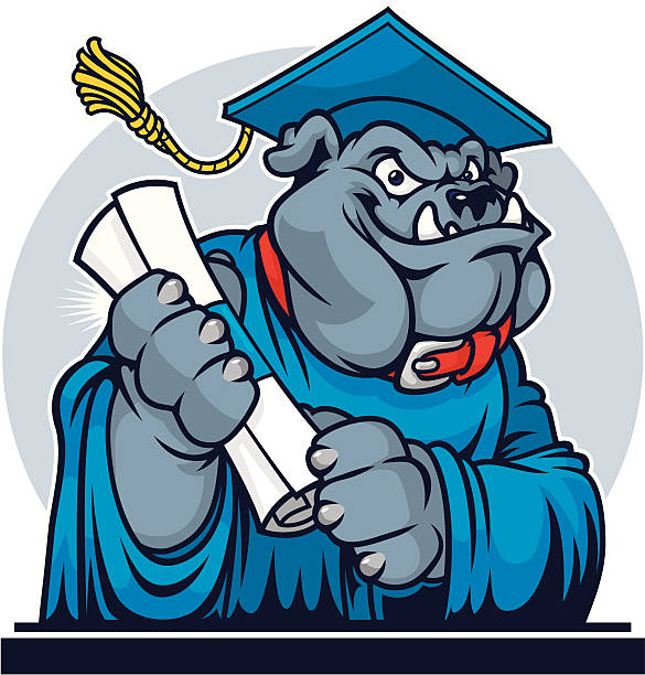 bull hund absolventen - dog graduation hat school stock-grafiken, -clipart, -cartoons und -symbole