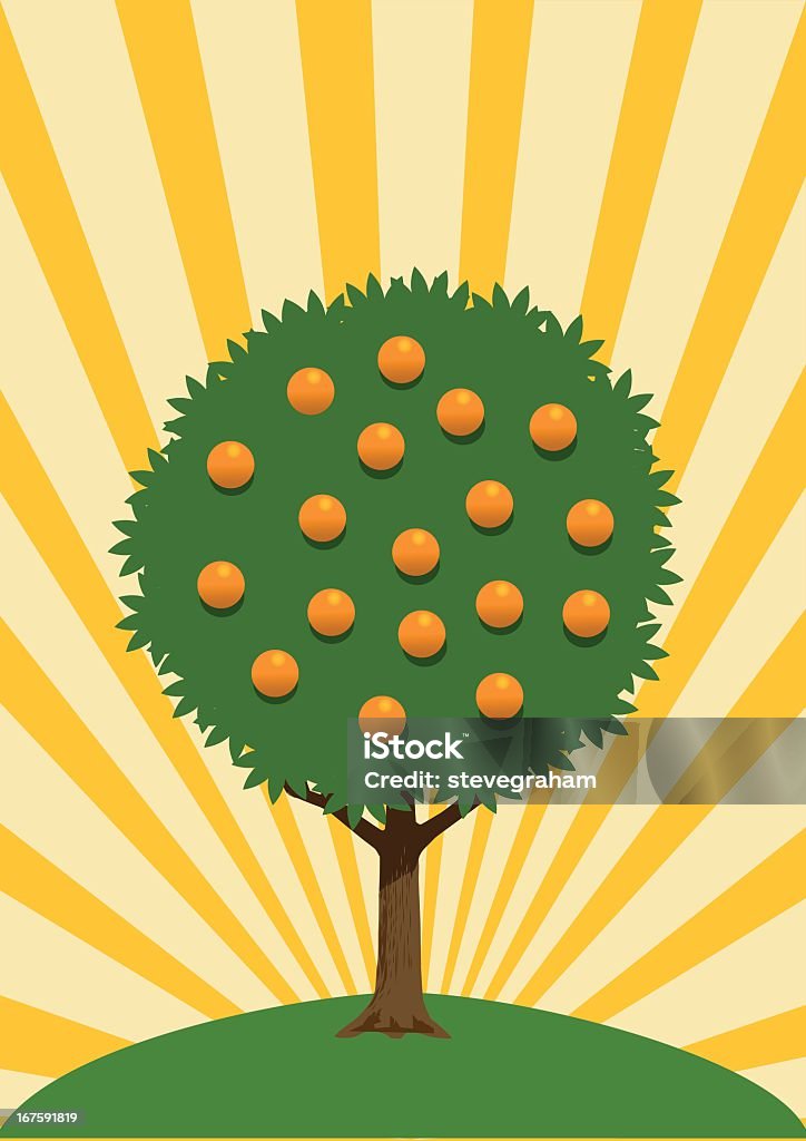 Drzewo pomarańczy - Grafika wektorowa royalty-free (Drzewo pomarańczy)