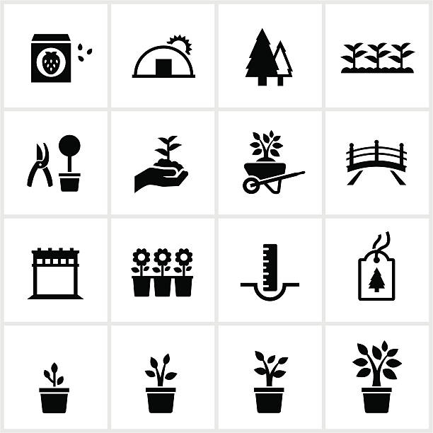 illustrazioni stock, clip art, cartoni animati e icone di tendenza di centro per il giardinaggio e serre icone - serra