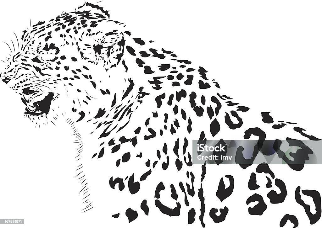 Snow leopard B&W illustration Snow Leopard portrait illustration in Black lines. Snow Leopard stock vector