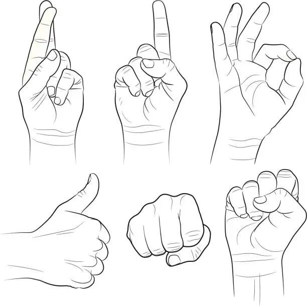 Vector illustration of Hand Gestures Collection