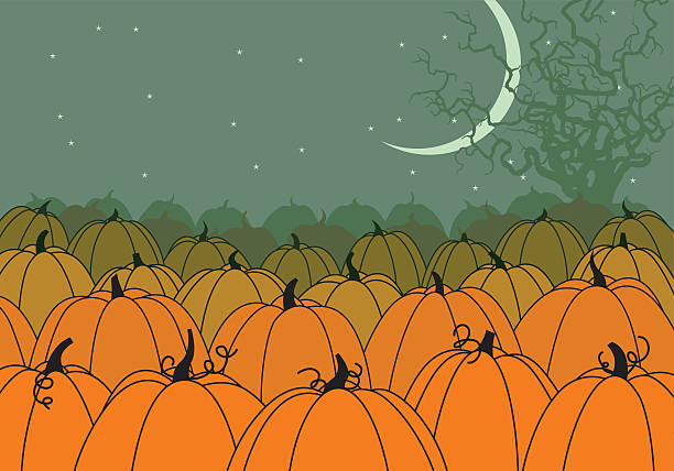 Cartoon Halloween pumpkin patch vector art illustration