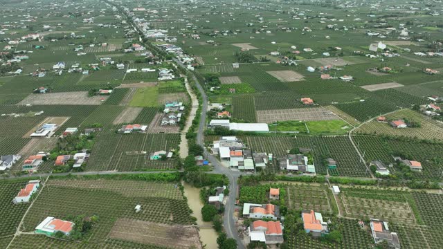 Aerial video of Pitaya garden, Tien Giang province