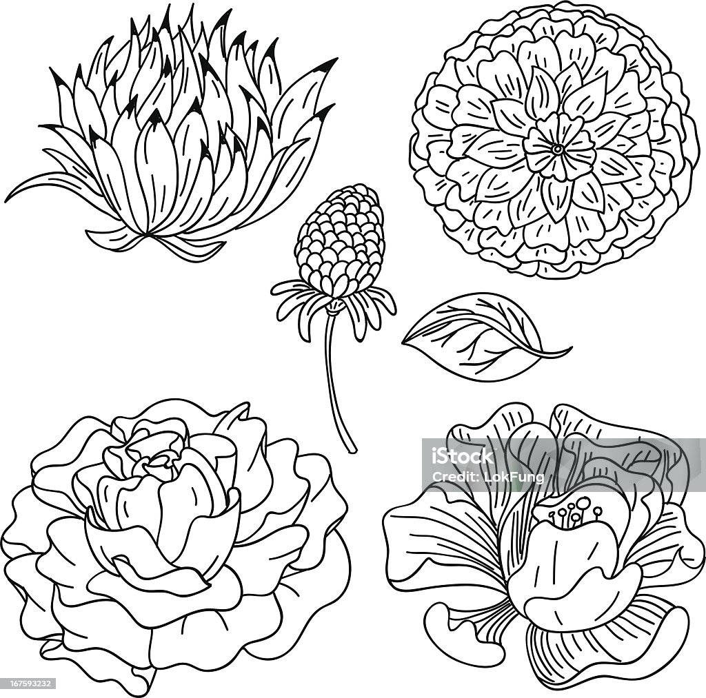 collection de fleurs en noir et blanc - clipart vectoriel de Camélia libre de droits