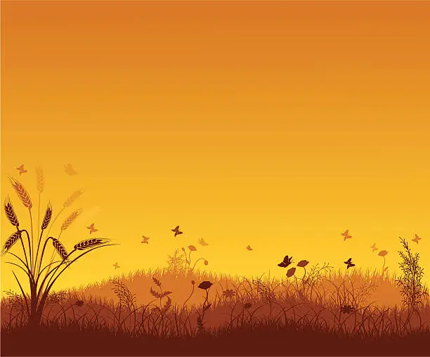 Vector illustration of Summer Landscape