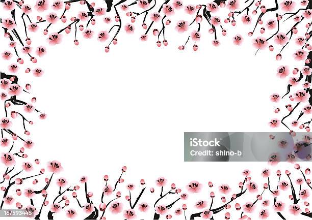 Prugna Montatura Rettangolare - Immagini vettoriali stock e altre immagini di Fiore di ciliegio - Fiore di ciliegio, Ramoscello, Cornice per foto