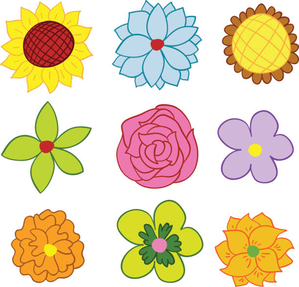 Spring flowers Spring bright flowers with colour sunflower vine stock illustrations