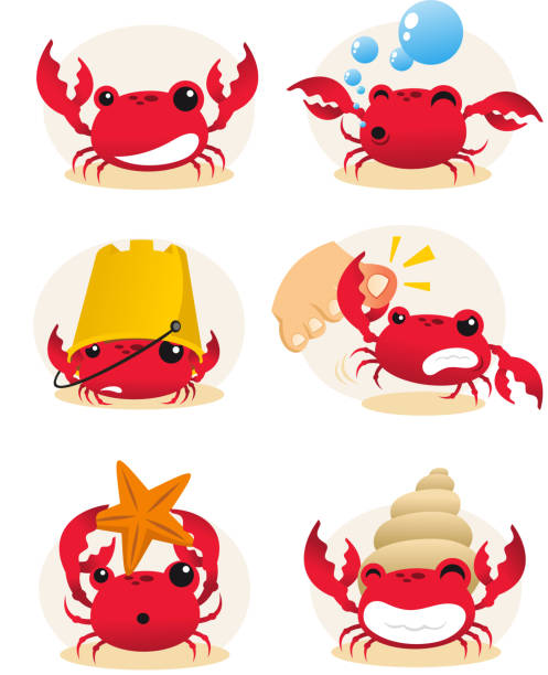 Red crab action set Red cartoon crab action set, with six different crabs in different situations vector illustration. hermit crab stock illustrations