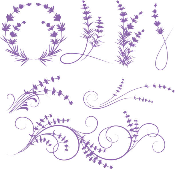 ilustraciones, imágenes clip art, dibujos animados e iconos de stock de lavander - lilac bush nature flower bed