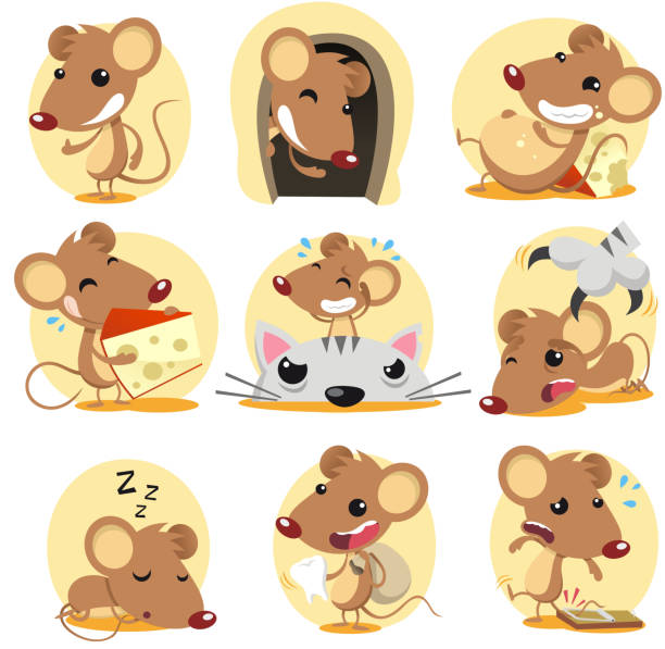 Mouse action set Cute brown mouse cartoon in action set, with nine different rats in different situations like: standing confident, hiding in its hole, resting on cheese, eating cheese, riding a cat, with bird, sleeping and trapped in a rat trap. teeth clipart stock illustrations
