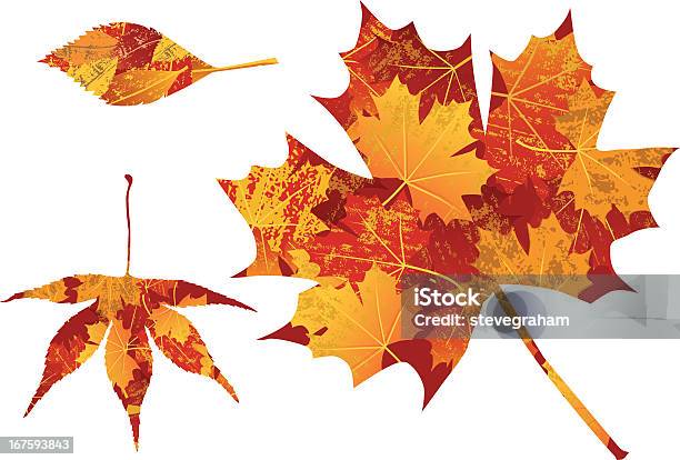 Autumn Leaves On White Stock Illustration - Download Image Now - Autumn, Clipping Path, Cut Out