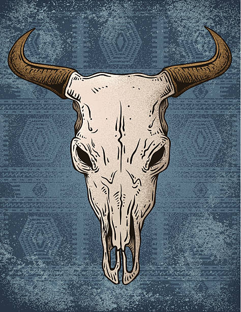 illustrazioni stock, clip art, cartoni animati e icone di tendenza di bull teschio - animal skull cow bull old