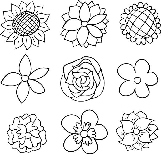 illustrazioni stock, clip art, cartoni animati e icone di tendenza di fiori in bianco e nero - girasole di daisy