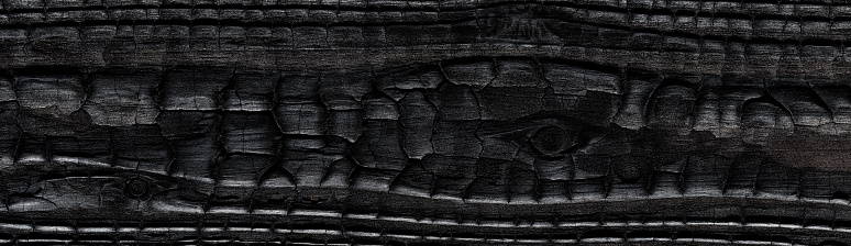 High angle view of a flat textured wooden board backgrounds. It burnt and black colored with fire skill. It is carbonization the surface. It has a beautiful nature and abstractive pattern like crocodile and fish scales. A close-up studio shooting shows details and lots of wood grain on the wood table. The piece of wood at the surface of the table also appears rich wooden material on it. The wood is black pattern on the bottom. Flat lay style. Its high-resolution textured quality. The close-up gives a direct view on the table, showing cracks and knotholes in the wood.