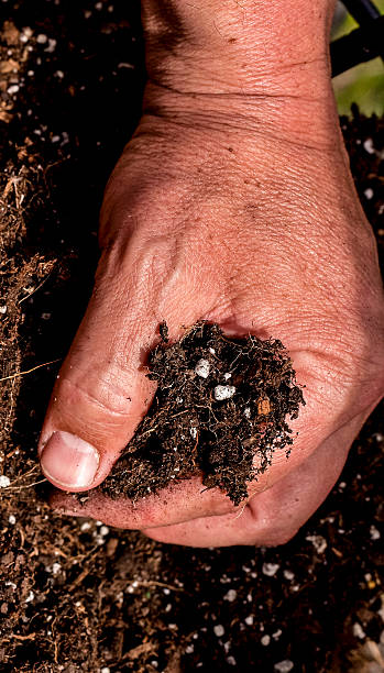istock man's hand grabbing a handful of soil 167596378