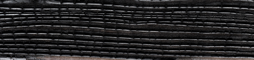 High angle view of a flat textured wooden board backgrounds. It burnt and black colored with fire skill. It is carbonization the surface. It has a beautiful nature and abstractive pattern like crocodile and fish scales. A close-up studio shooting shows details and lots of wood grain on the wood table. The piece of wood at the surface of the table also appears rich wooden material on it. The wood is black pattern on the bottom. Flat lay style. Its high-resolution textured quality. The close-up gives a direct view on the table, showing cracks and knotholes in the wood.