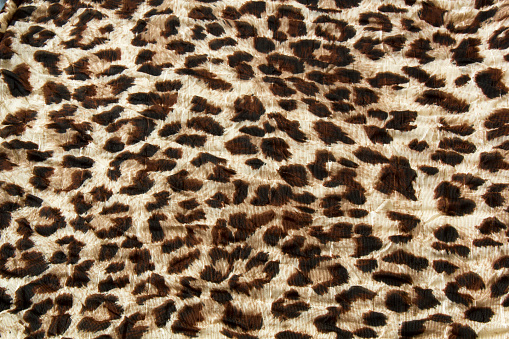 Fashion trendy fabric pattern with leopard skin print
