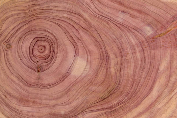 istock A full frame nature wood grain surface as design background. 1675975838