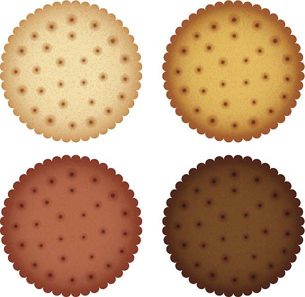 ilustraciones, imágenes clip art, dibujos animados e iconos de stock de cracker colección galleta con pedacitos de chocolate - bakery fluffy close up whole wheat