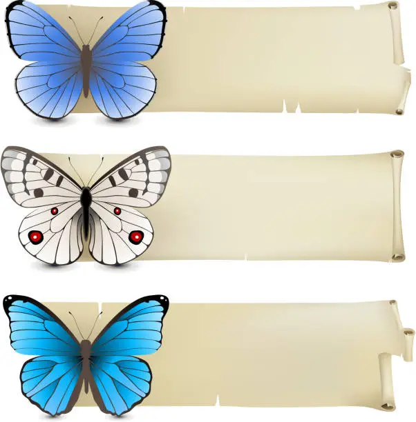 Vector illustration of Butterfly banners