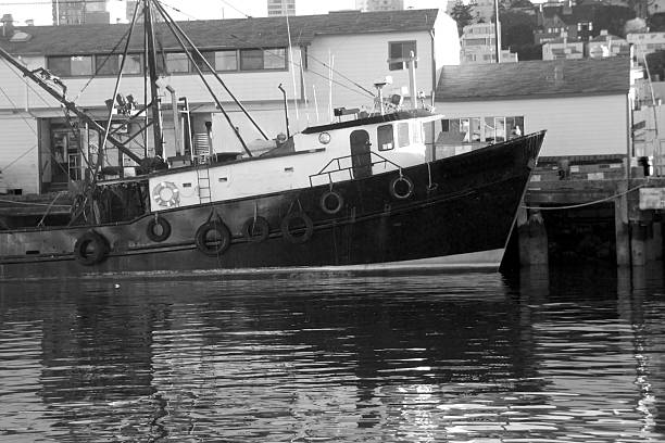 istock Fishing boat docked at pier 167597876