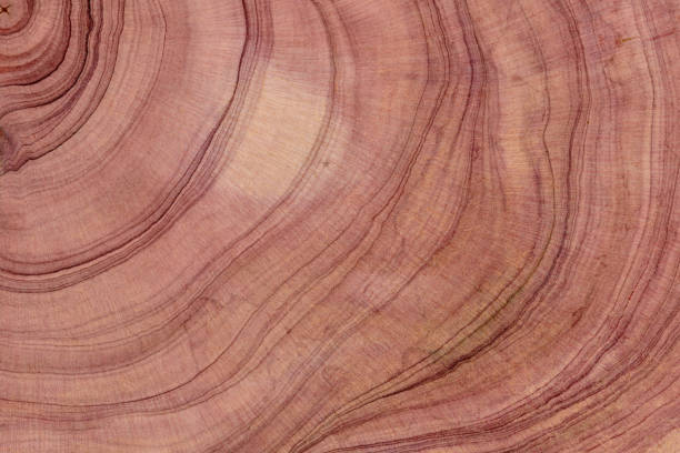 istock Seamless aged beautiful wood surface background photo. 1675979113