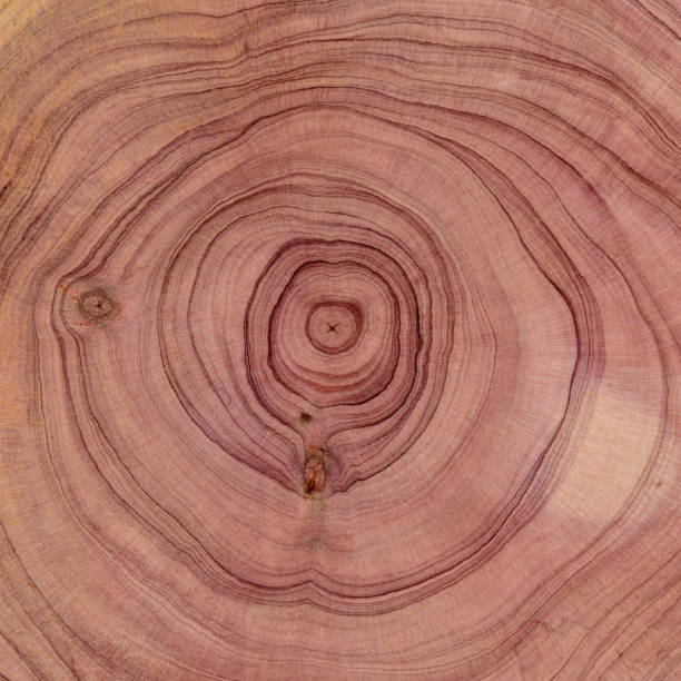 istock A full frame nature wood grain surface as design background. 1675983808