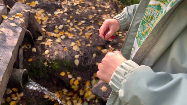 istock A walk in the autumn park 1675993788