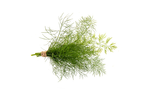 Bunch of fresh dill isolated on white background