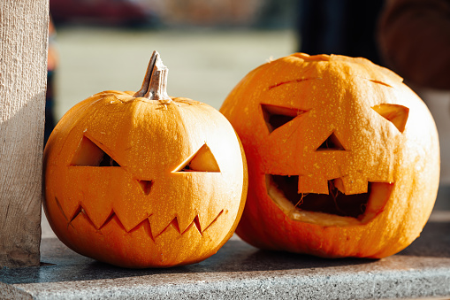 Scary jack lantern halloween pumpkins in sun day on ground among dry leaves at street. All hallows eve decoration funny pumpkin with candles on candlestick at fall background in open air near house