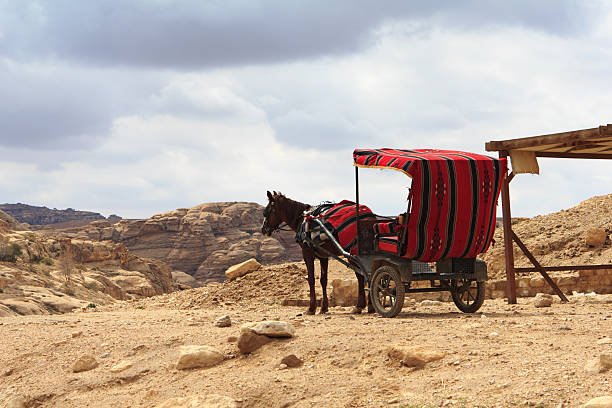 istock Horse carriage in Petra, Jordan 167602317