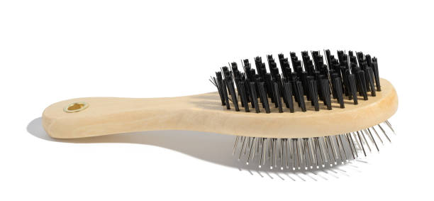 istock Wooden brush for animals on a white isolated background 1676029470