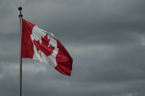 istock Canadian flag flying in the wind. 1676064043