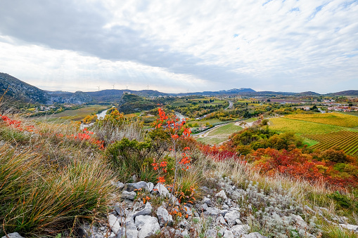 Italy, Veneto, autumnal view from a hill near Verona during a hiking.