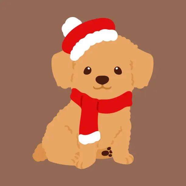Vector illustration of Simple and adorable illustration of Toy Poodle in Christmas time