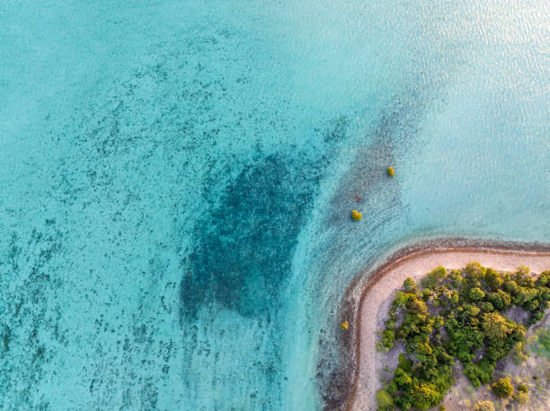 vista aérea de alto ángulo con un dron a vista de pájaro de una pequeña sección de playa de la isla de haman, un islote de vacaciones con aguas turquesas poco profundas: islas whitsunday, gran barrera de coral, queensland, australia. - beach coral close up water fotografías e imágenes de stock