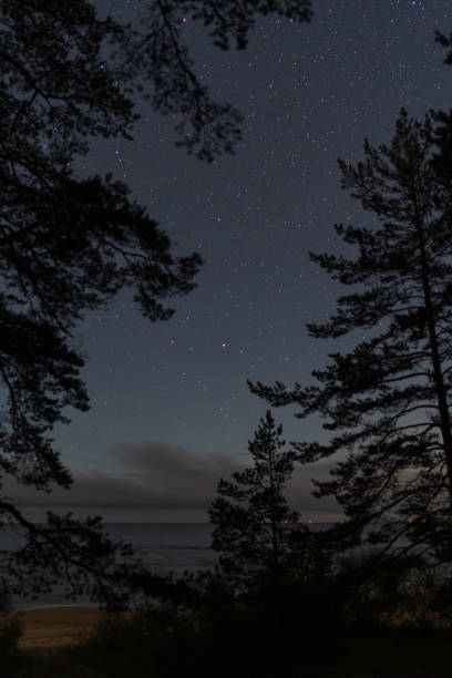 istock Starry sky at summer night on the coastline 1676084150