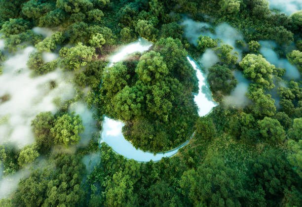 istock 3D Rendering of a Pristine Jungle Pond Featuring an Abstract Icon Encouraging Ecological Recycling and Reuse with a Central Recycling Symbol. 1676102670